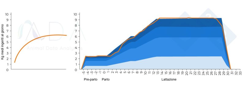 Figura 1. Modello teorico ottimale di ingestione&nbsp;della scrofa in lattazione e risultati nella pratica
